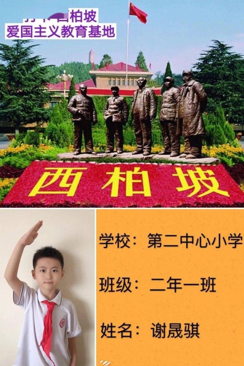 救援海盗章鱼