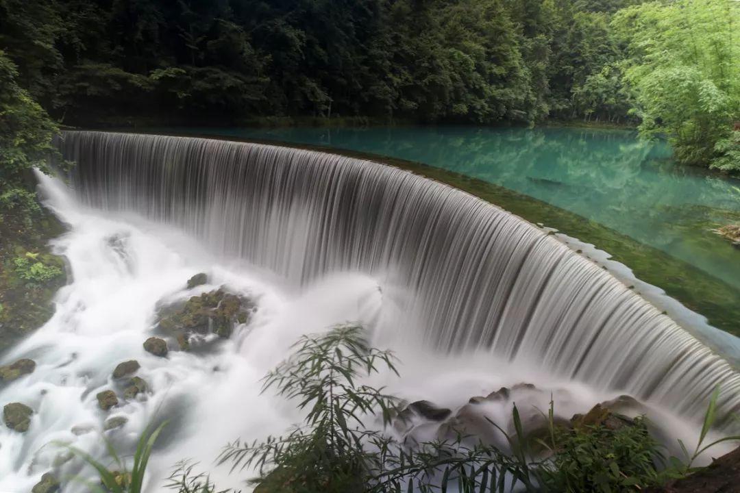 逃出猫头鹰岛